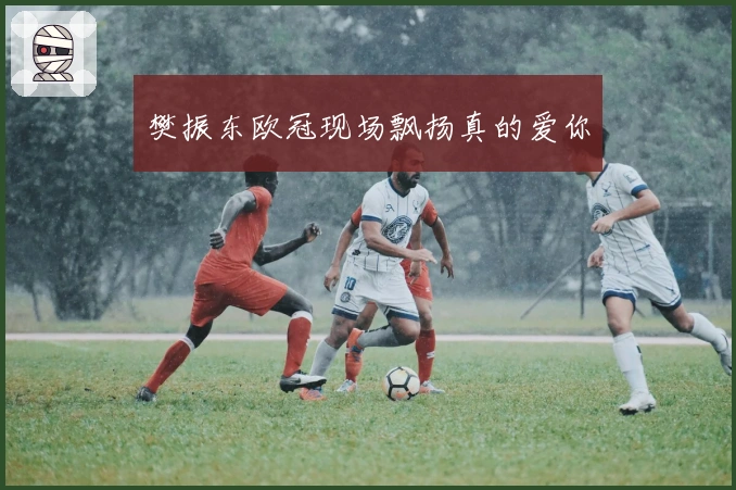 樊振东欧冠现场飘扬真的爱你