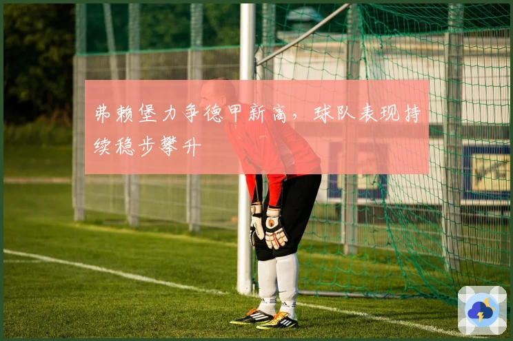 弗赖堡力争德甲新高，球队表现持续稳步攀升