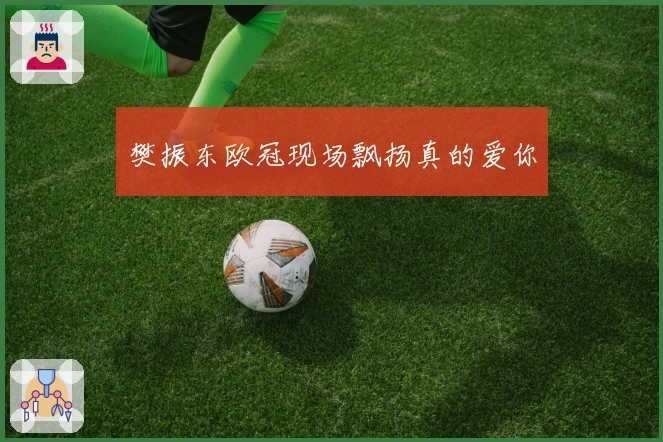 樊振东欧冠现场飘扬真的爱你